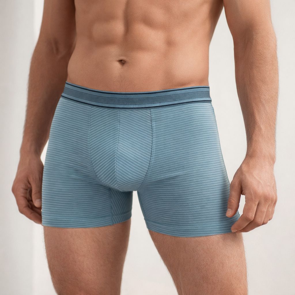 DELUXE ÇİZGİLİ BOXER